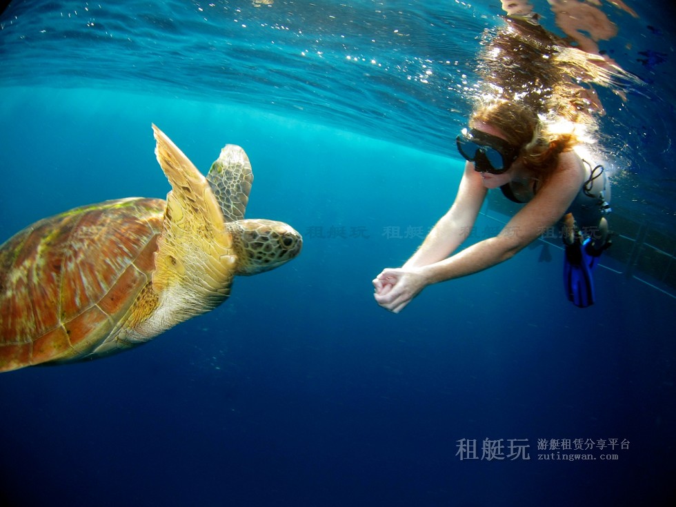泰國 普吉島游艇租賃 斯米蘭群島 泰國 普吉島游艇租賃 斯米蘭群島