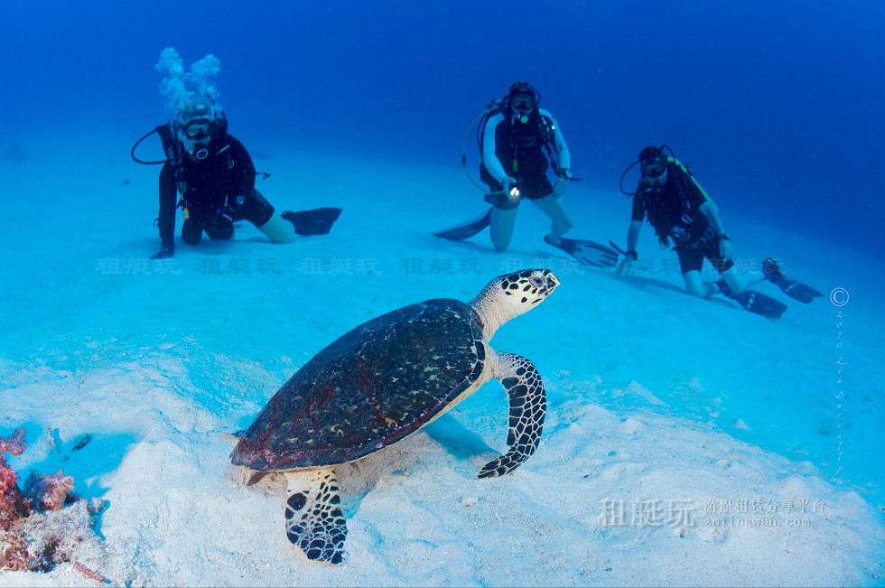 泰國 普吉島游艇租賃 斯米蘭群島 泰國 普吉島游艇租賃 斯米蘭群島