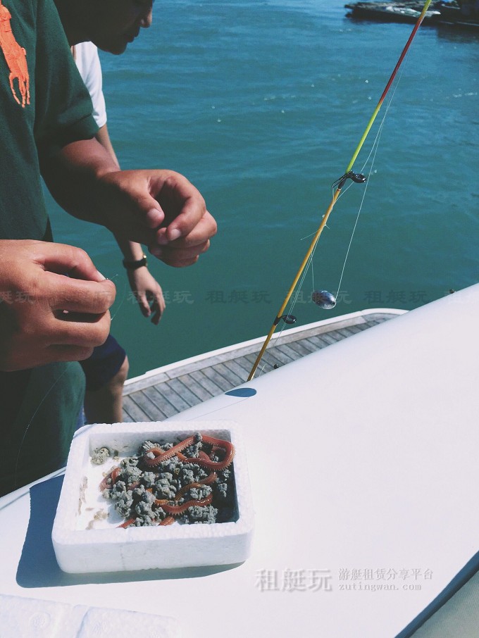 大圖海釣提供釣竿及魚餌.jpg